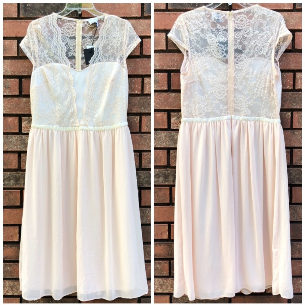 ASOS Tall Scalloped Lace Blush Dress. NWT. - Picture 3 of 5